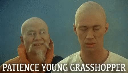 Share the best GIFs now >>>. . Patience young grasshopper gif
